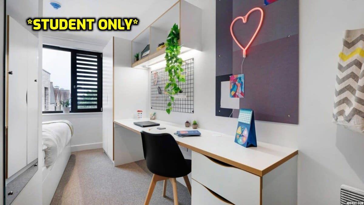 Student Only Zeni Ensuite Rooms, コルチェスター エクステリア 写真
